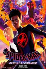 Spider-Man: Across the Spider-Verse poster 27