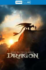 How to Train Your Dragon poster 19