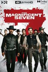 The Magnificent Seven (2016)