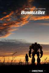 Bumblebee poster 7