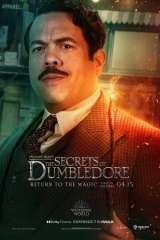 Fantastic Beasts: The Secrets of Dumbledore poster 42