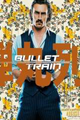 Bullet Train poster 18