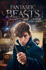 Fantastic Beasts and Where to Find Them poster 26