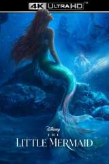 The Little Mermaid poster 13