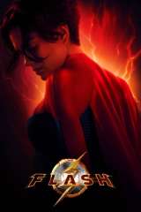 The Flash poster 46