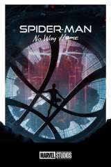 Spider-Man: No Way Home poster 3