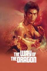 The Way of the Dragon poster 9