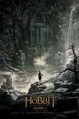 The Hobbit: The Desolation of Smaug poster 35