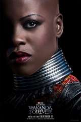 Black Panther: Wakanda Forever poster 8
