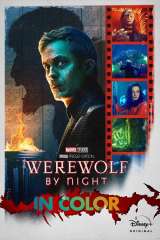 Werewolf by Night poster 17