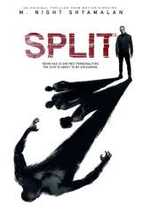 Split poster 7