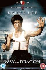The Way of the Dragon poster 22