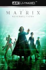 The Matrix Resurrections poster 11