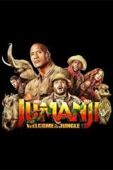 Jumanji: Welcome to the Jungle poster 19