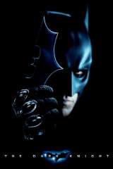 The Dark Knight poster 28