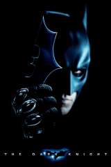 The Dark Knight poster 29