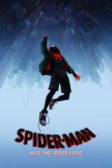 Spider-Man: Into the Spider-Verse poster 10