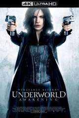 Underworld: Awakening poster 11