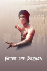 Enter the Dragon poster 10