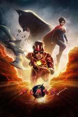 The Flash poster 12