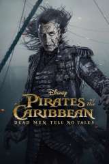Pirates of the Caribbean: Dead Men Tell No Tales poster 26
