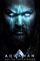 Aquaman and the Lost Kingdom poster 5