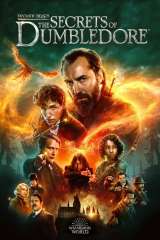 Fantastic Beasts: The Secrets of Dumbledore poster 39