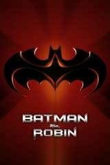 Batman & Robin poster 4