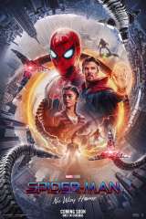 Spider-Man: No Way Home poster 11