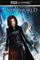 Underworld: Awakening poster 8