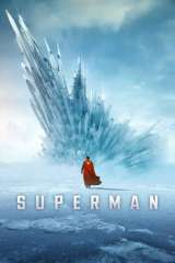 Superman poster 28
