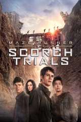 Maze Runner: The Scorch Trials poster 14