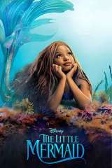 The Little Mermaid poster 63