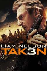 Taken 3 poster 7