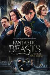 Fantastic Beasts and Where to Find Them poster 7