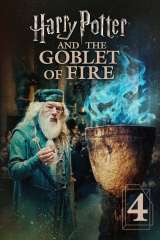 Harry Potter and the Goblet of Fire poster 2