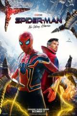 Spider-Man: No Way Home poster 9