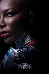 Black Panther: Wakanda Forever poster 13