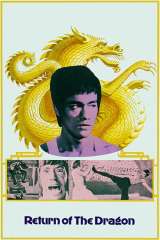 The Way of the Dragon poster 7