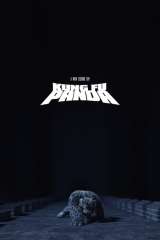 Kung Fu Panda poster 6