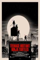 Teenage Mutant Ninja Turtles poster 7