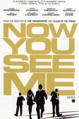 Now You See Me poster 14