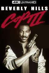 Beverly Hills Cop III poster 14
