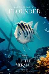 The Little Mermaid poster 39