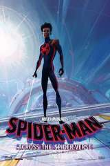 Spider-Man: Across the Spider-Verse poster 9