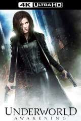 Underworld: Awakening poster 9