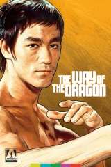 The Way of the Dragon (1972)
