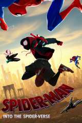 Spider-Man: Into the Spider-Verse poster 8