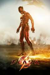 The Flash poster 5
