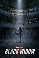 Black Widow poster 34